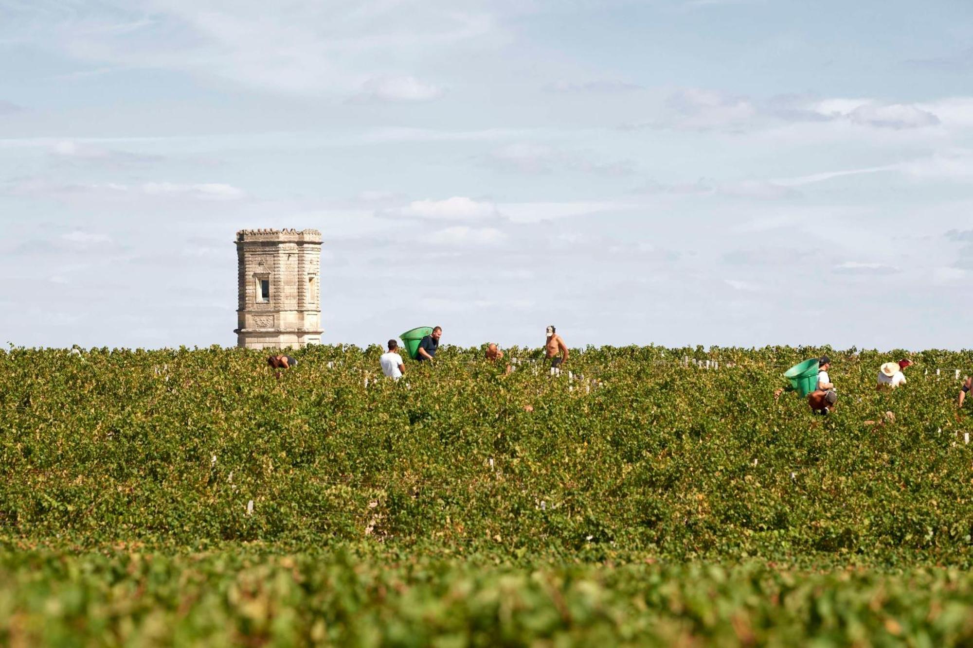 Best Western Premier Hotel Des Vignes Et Des Anges Pauillac Exterior foto